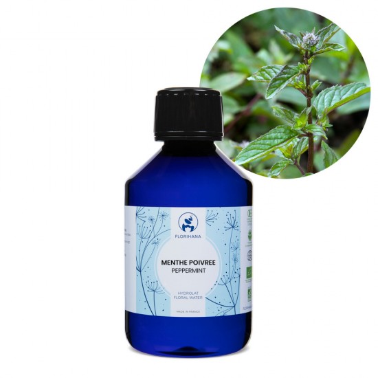 Mentă Organică